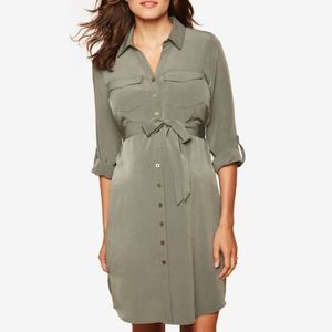 Motherhood Maternity Belted Shirtdress
